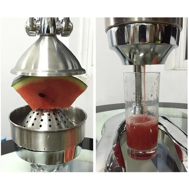 SmoothFastt Stainless Steel Hand Press Juicer
